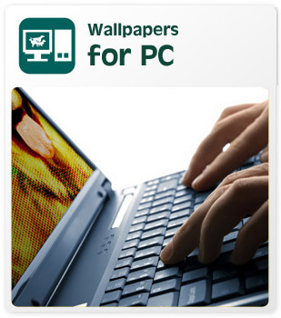 Wallpapers for PC