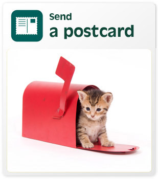 Send a postcard