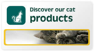 Discover our cat products
