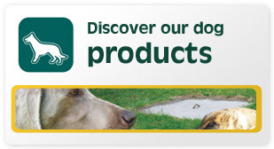 Discover our dog products