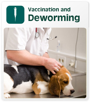 Vaccination and deworming