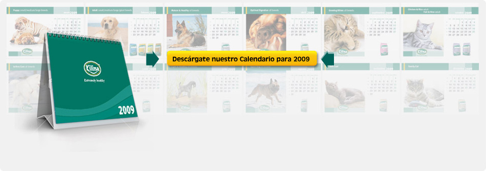 Descarga calendario