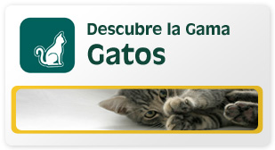 Descubre la gama gatos