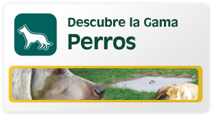 Descubre la gama perros