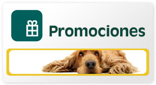 Promociones