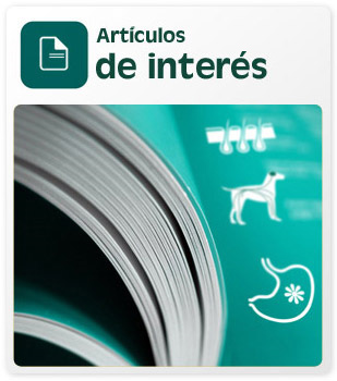 Artículos de interés