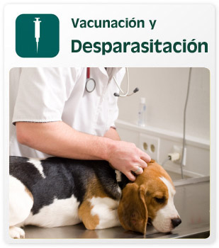 Vacunacion y desparasitación