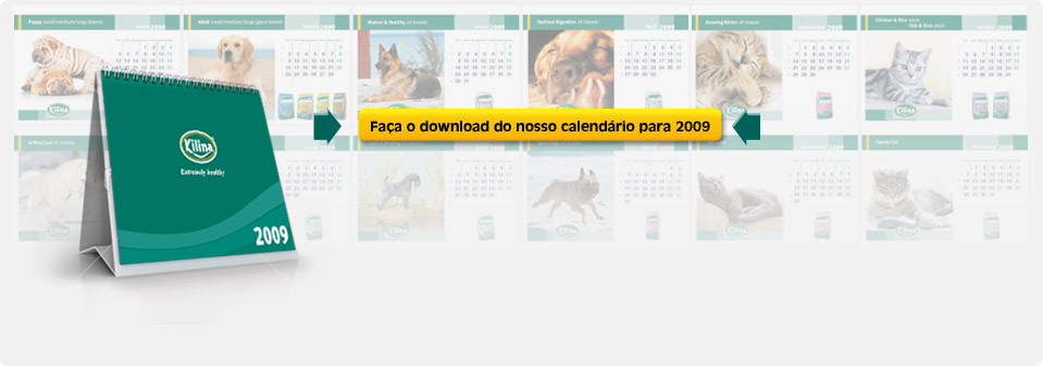 Faça o download do nosso calendário para 2009