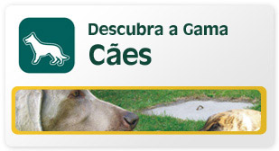 Descubra a gama Cães