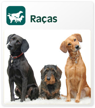 Raças
