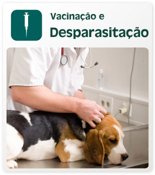 Vacinação e desparasitação